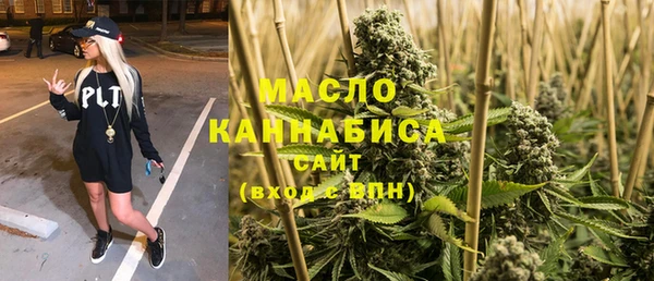 ECSTASY Вяземский