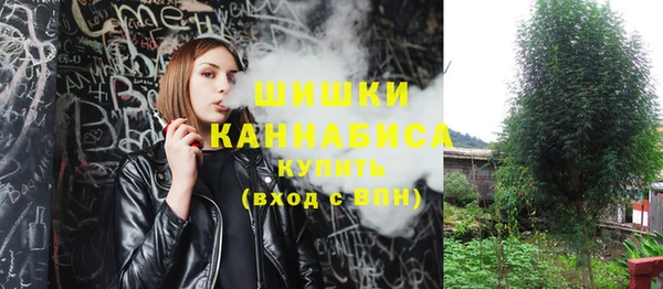 ECSTASY Вяземский