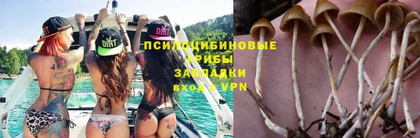 ECSTASY Вяземский