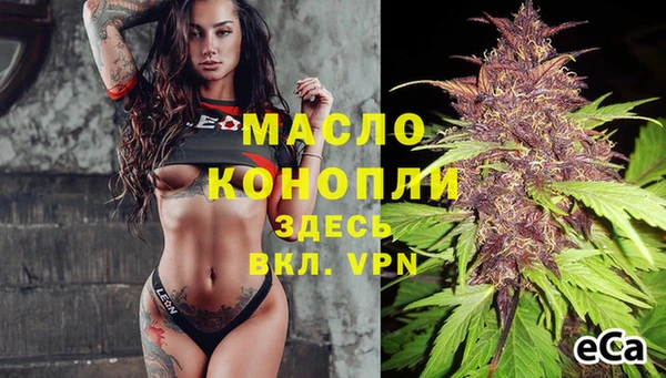 гидра Вязники