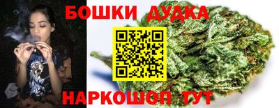 PSILOCYBIN Балаково