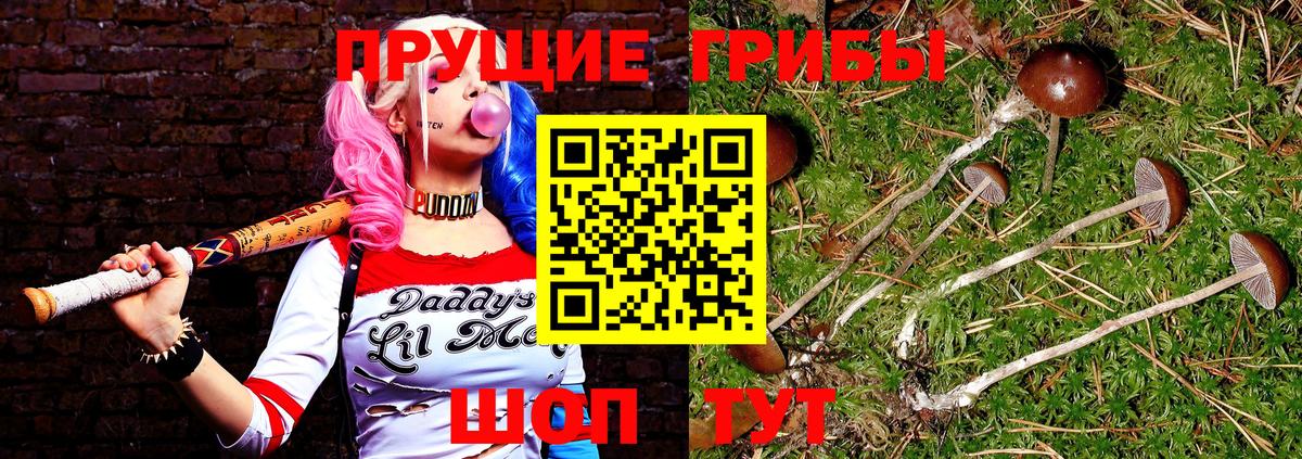 Псилоцибиновые грибы Psilocybine cubensis  Наро-Фоминск 